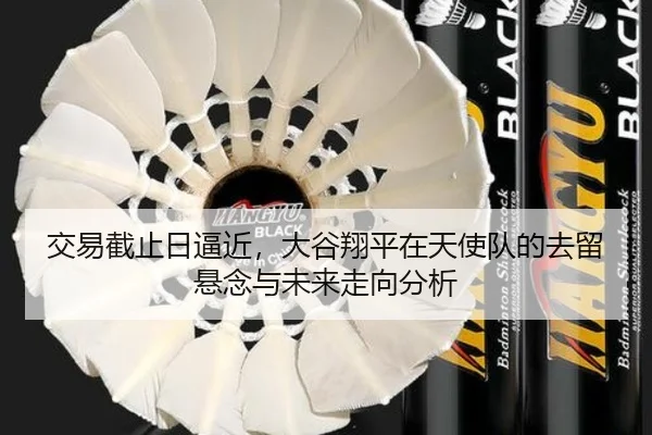 交易截止日逼近，大谷翔平在天使队的去留悬念与未来走向分析