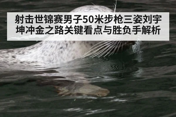 射击世锦赛男子50米步枪三姿刘宇坤冲金之路关键看点与胜负手解析